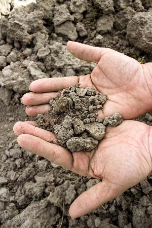 Climate change Dry Soil