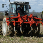 Cultivator tines for soil preparation Agricultural tools for doing light soil work before using cereal seed drills