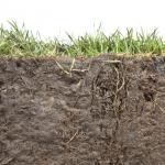 How to work the profile of the agricultural soil Profile of agricultural soil